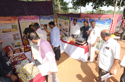 Krishi Mela 2015 at the CPCRI at Vittal